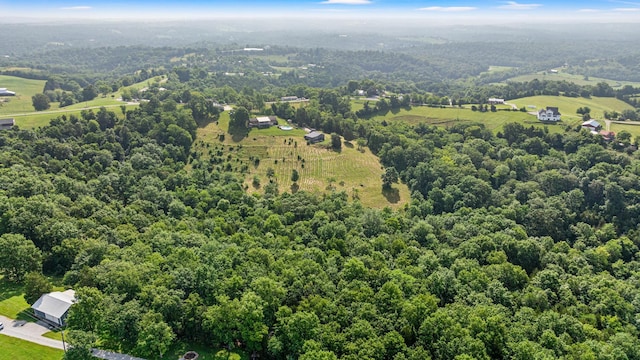 12707 Pleasant Ridge Rd, Alexandria, KY 41001 - photo 29