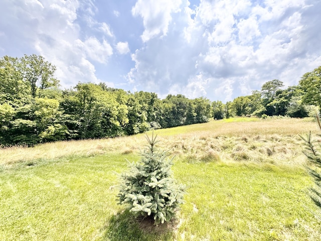13165 Burns Rd, California, KY 41007 - view of yard with a forest view