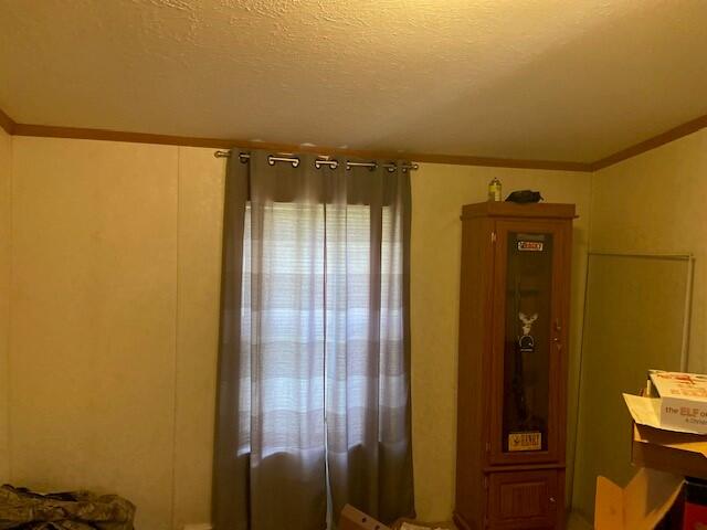 2060 Augusta Minerva Rd, Augusta, KY 41002 - interior space featuring crown molding and a textured ceiling