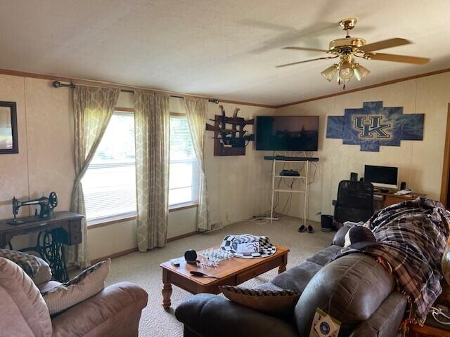 2060 Augusta Minerva Rd, Augusta, KY 41002 - carpeted living area with a ceiling fan, ornamental molding, and vaulted ceiling