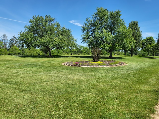 5809 Taylor Mill Rd, Covington, KY 41015 - view of green lawn