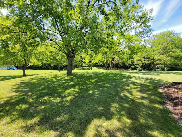 5809 Taylor Mill Rd, Covington, KY 41015 - view of green lawn