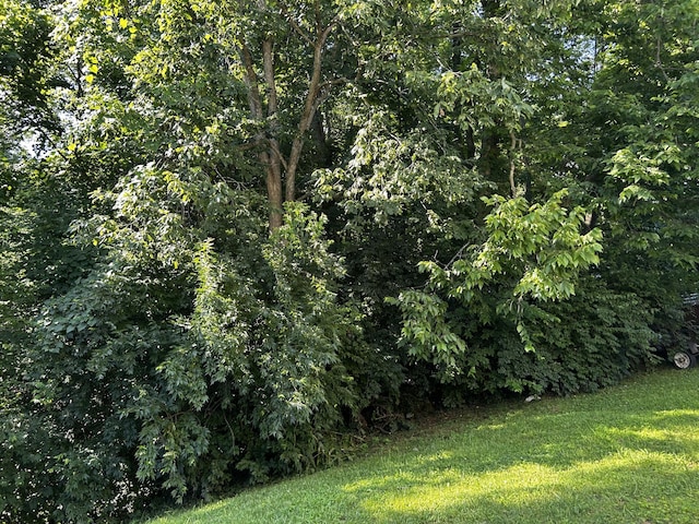 4263 Ashgrove Ct, Independence, KY 41051 - photo 41