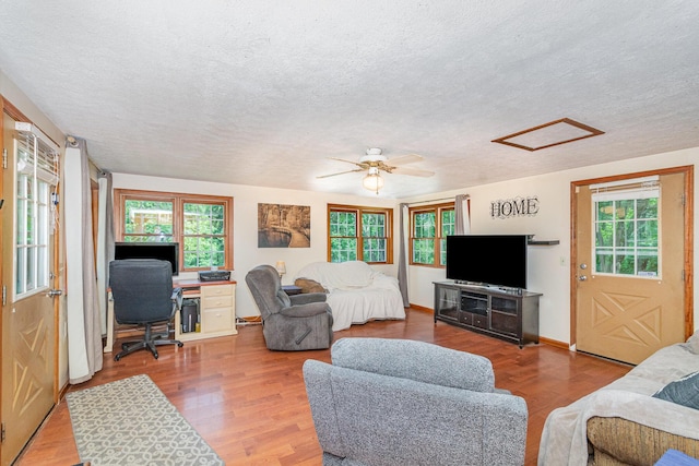 575 Sugar Creek Rd, Dry Ridge, KY 41035 - living area with a desk, a textured ceiling, attic access, wood finished floors, and plenty of natural light