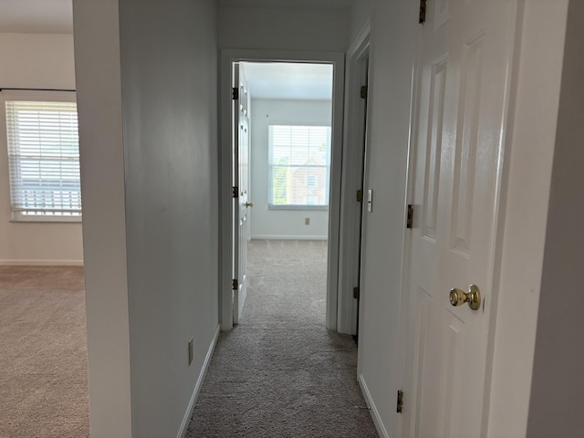 23 Highland Meadows Cir Unit 12, Highland Heights, KY 41076 - photo 31