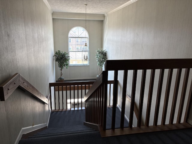 23 Highland Meadows Cir Unit 12, Highland Heights, KY 41076 - photo 38