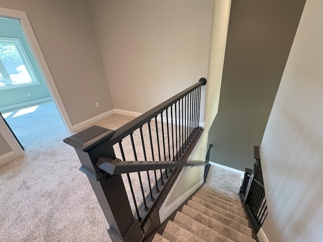 888 Belle Ridge Loop, Bellevue, KY 41073 - staircase featuring carpet flooring and baseboards