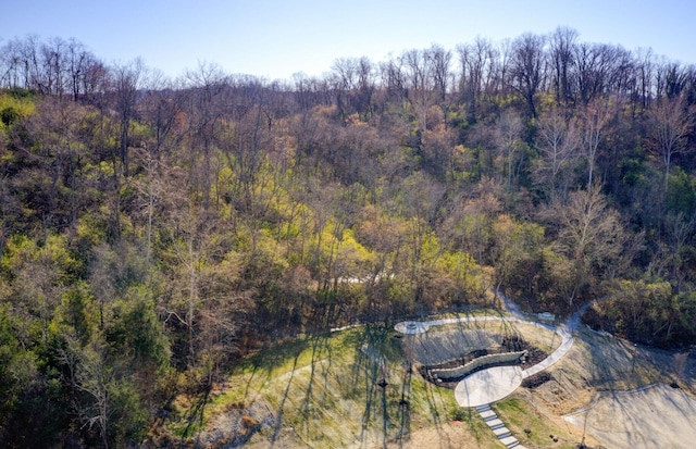 888 Belle Ridge Loop, Bellevue, KY 41073 - aerial overview of property's location featuring a forest