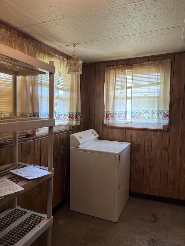 617 Woolery St, Falmouth, KY 41040 - laundry area with washer / dryer, wood walls, and carpet flooring