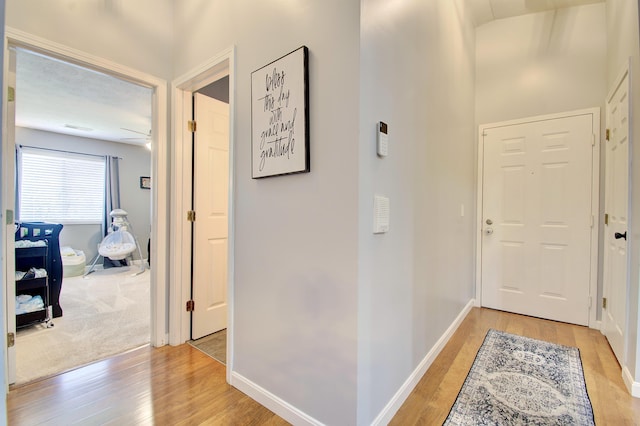 2300 Medlock Ln Unit 206, Burlington, KY 41005 - photo 22