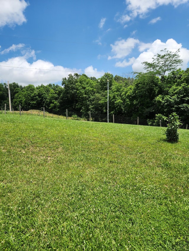 113 Lynn Ln, Falmouth, KY 41040 - view of yard