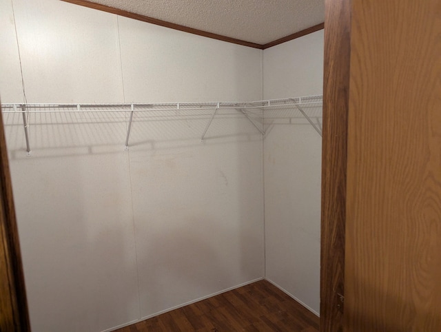 113 Lynn Ln, Falmouth, KY 41040 - spacious closet featuring dark wood-style flooring