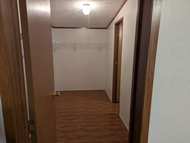 113 Lynn Ln, Falmouth, KY 41040 - walk in closet featuring dark wood finished floors