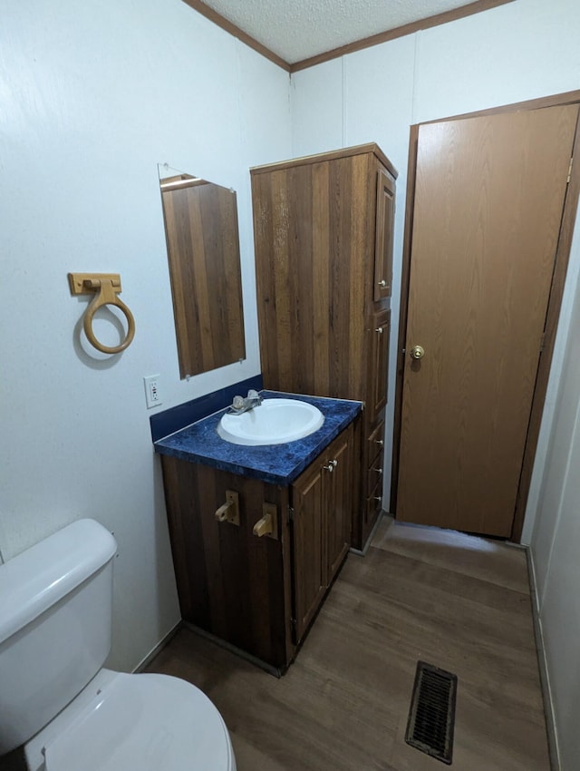 113 Lynn Ln, Falmouth, KY 41040 - half bath with vanity, wood finished floors, and a textured ceiling