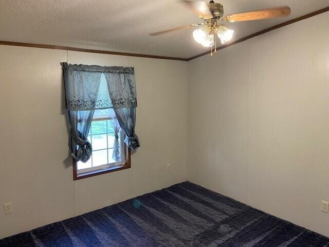 113 Lynn Ln, Falmouth, KY 41040 - carpeted empty room featuring ceiling fan, crown molding, and a textured ceiling