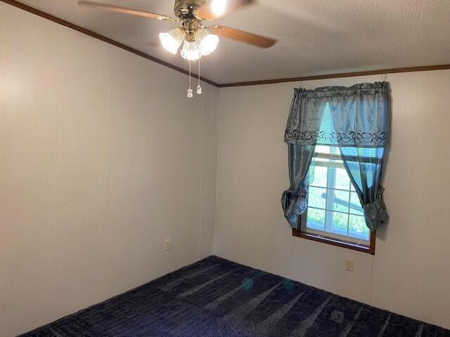 113 Lynn Ln, Falmouth, KY 41040 - spare room with dark colored carpet, a ceiling fan, crown molding, and a textured ceiling