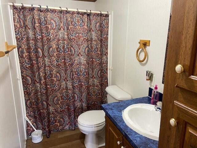 113 Lynn Ln, Falmouth, KY 41040 - full bath featuring vanity and a shower with curtain