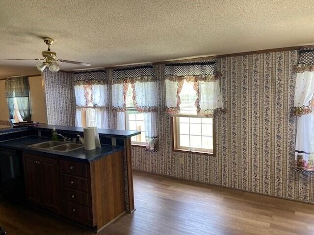 113 Lynn Ln, Falmouth, KY 41040 - kitchen with wood finished floors, a textured ceiling, wallpapered walls, dark countertops, and a ceiling fan