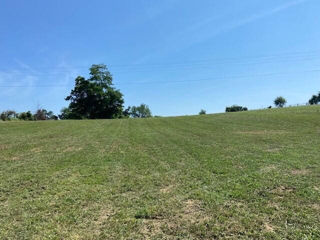 8234 Orangeburg Rd, Maysville, KY 41056 - photo 1