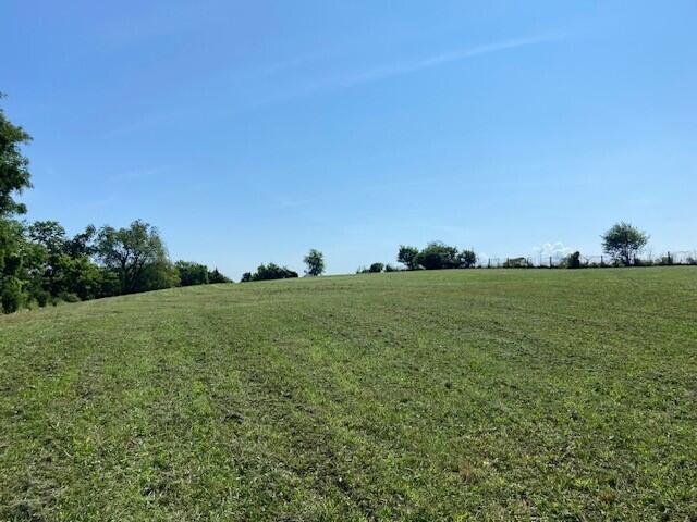 8234 Orangeburg Rd, Maysville, KY 41056 - photo 10