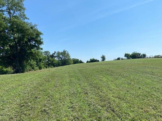 8234 Orangeburg Rd, Maysville, KY 41056 - photo 11