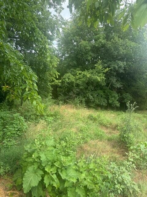 429 Chapel Rd, Mount Olivet, KY 41064 - photo 3