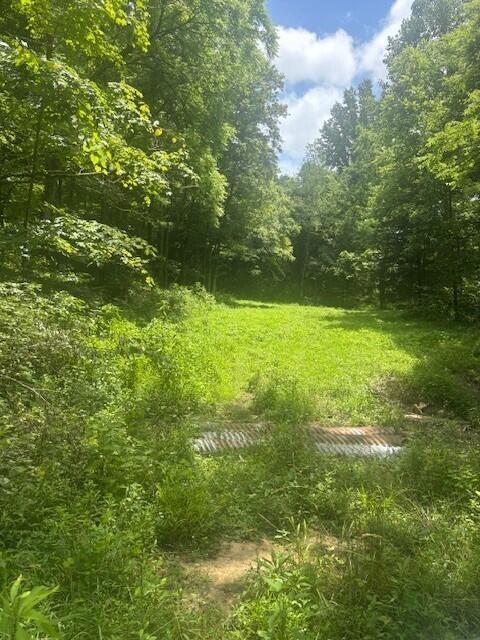 429 Chapel Rd, Mount Olivet, KY 41064 - photo 7
