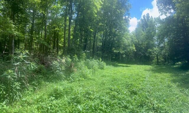 429 Chapel Rd, Mount Olivet, KY 41064 - photo 8