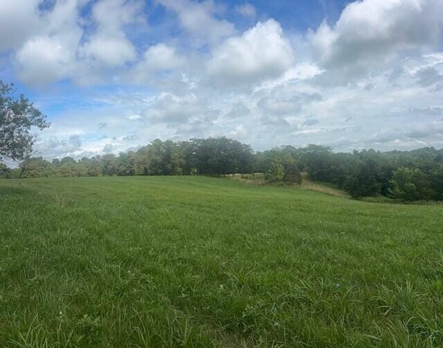 429 Chapel Rd, Mount Olivet, KY 41064 - photo 1