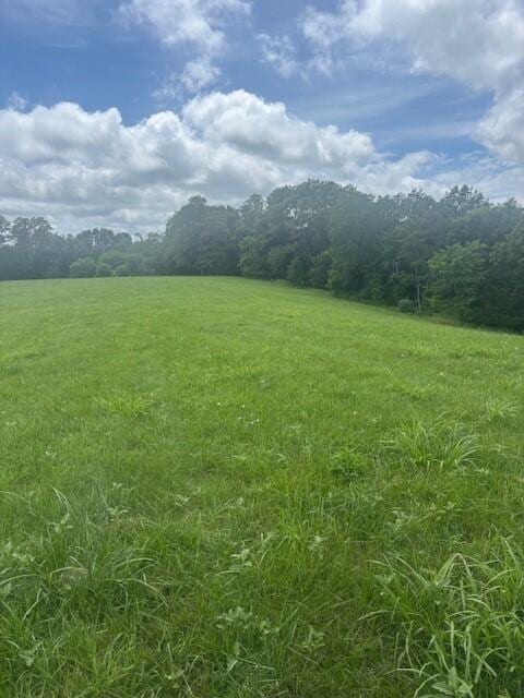 429 Chapel Rd, Mount Olivet, KY 41064 - photo 11