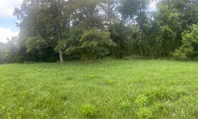429 Chapel Rd, Mount Olivet, KY 41064 - photo 13