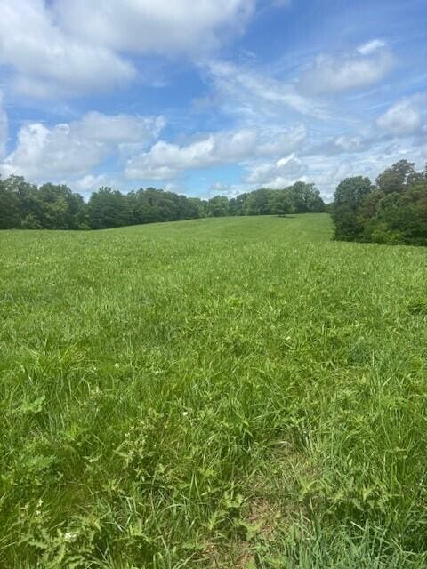 429 Chapel Rd, Mount Olivet, KY 41064 - photo 18