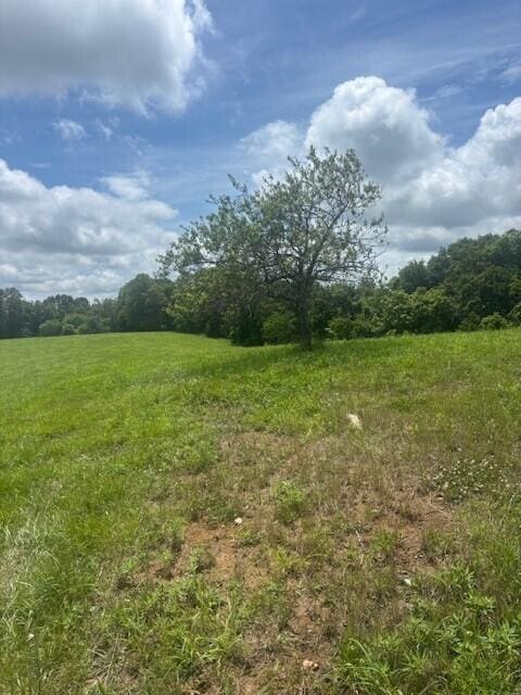 429 Chapel Rd, Mount Olivet, KY 41064 - photo 20