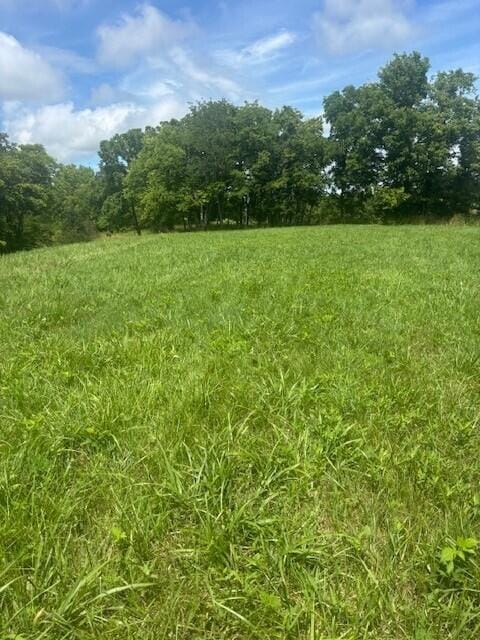 429 Chapel Rd, Mount Olivet, KY 41064 - photo 21