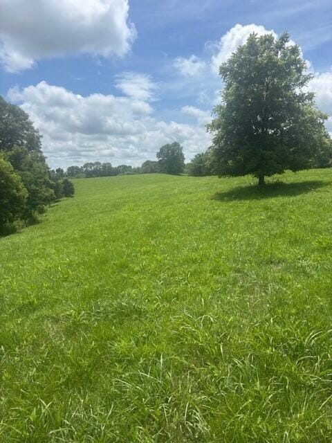 429 Chapel Rd, Mount Olivet, KY 41064 - photo 22