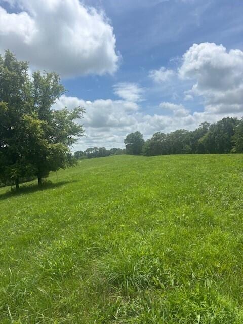 429 Chapel Rd, Mount Olivet, KY 41064 - photo 23