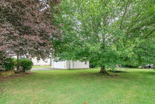 3181 Mills Rd, Independence, KY 41051 - photo 21