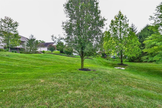 823 Covefield Ln, Erlanger, KY 41018 - photo 30