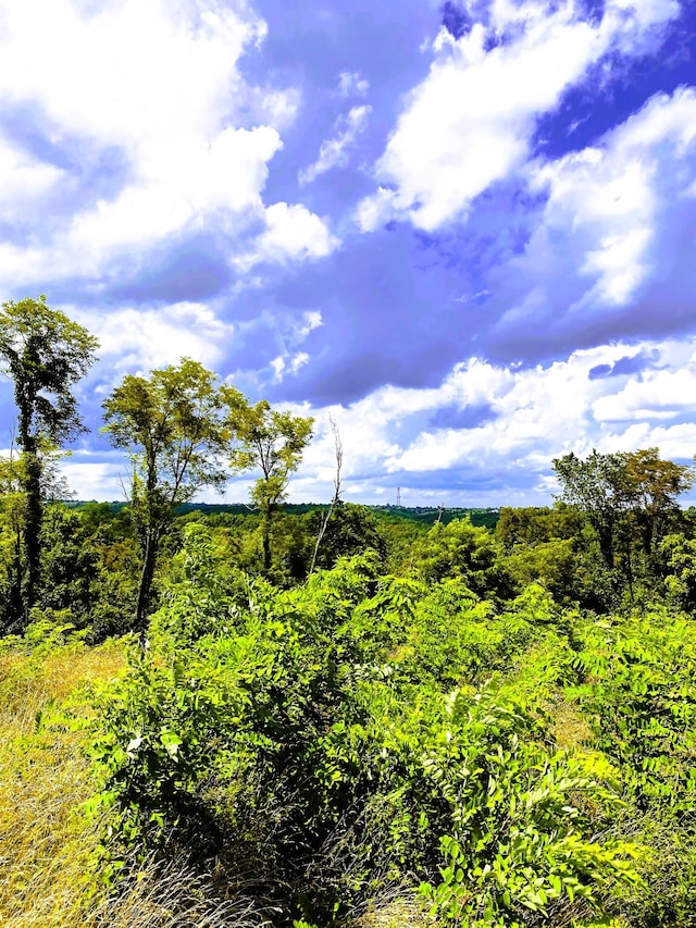 5AC Oak Ridge Rd Unit Parcel A, Williamstown, KY 41097 - photo 1