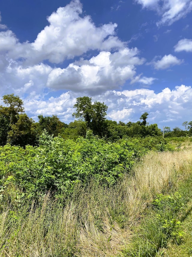 5AC Oak Ridge Rd Unit Parcel A, Williamstown, KY 41097 - photo 2