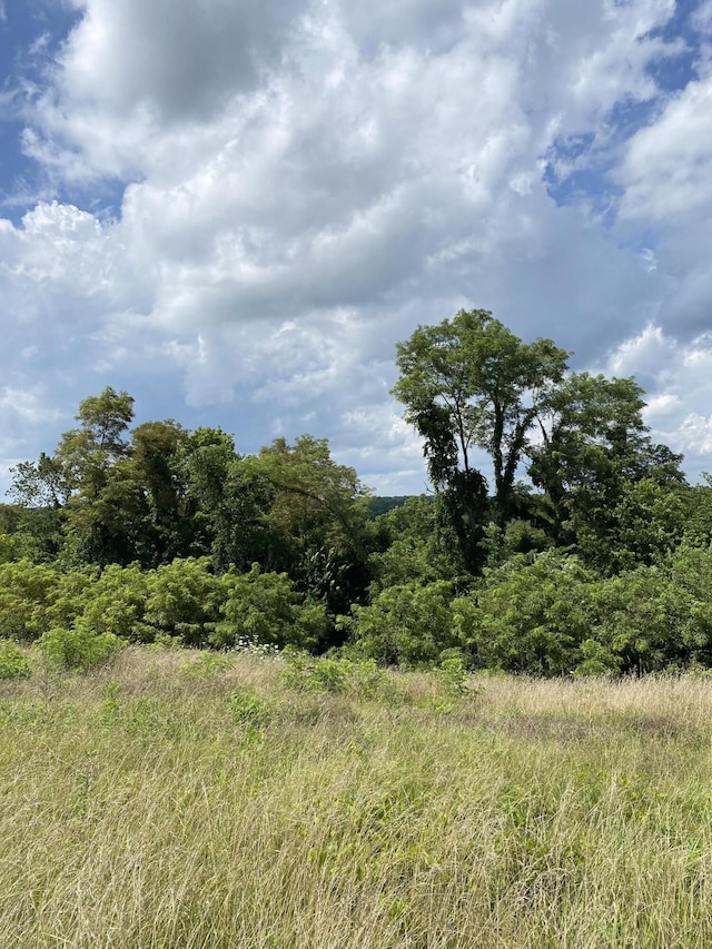 5AC Oak Ridge Rd Unit Parcel A, Williamstown, KY 41097 - photo 4