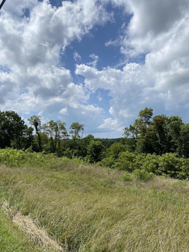5AC Oak Ridge Rd Unit Parcel A, Williamstown, KY 41097 - photo 3