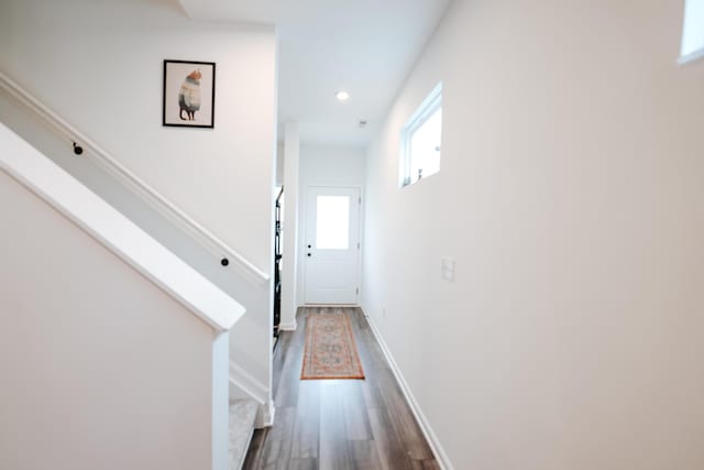 10029 Windcrest Farms Ln, Louisville, KY 40291 - photo 26