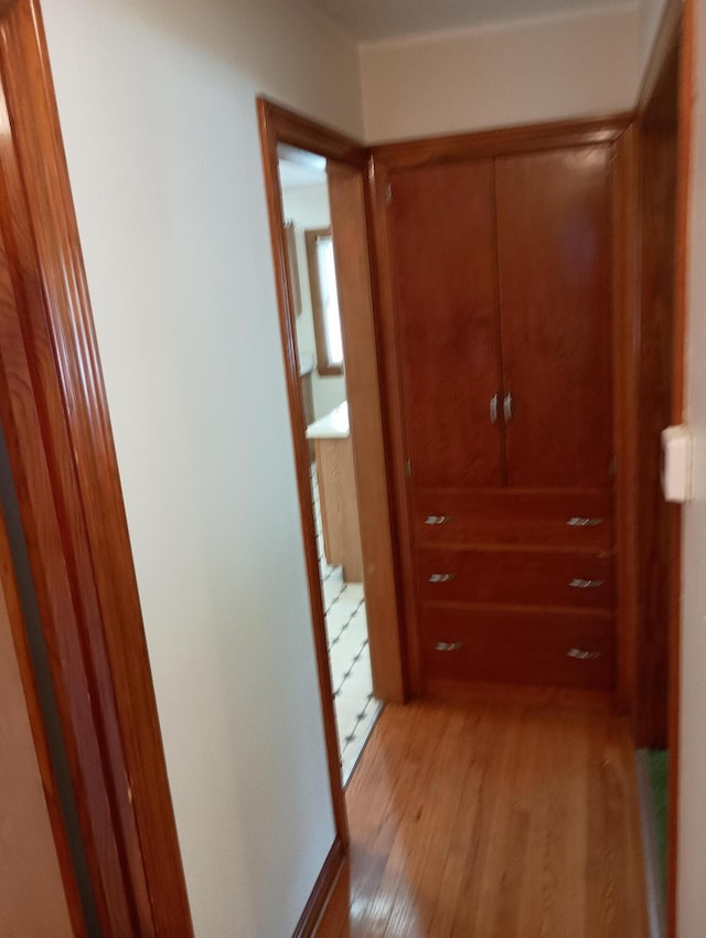 76 Alta Vista Dr, Walton, KY 41094 - photo 12