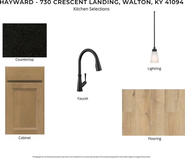730 Crescent Lndg, Walton, KY 41094 - photo 3