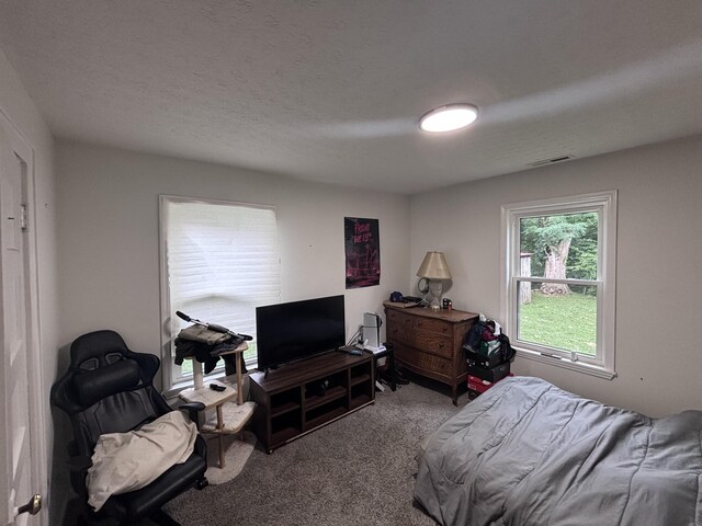 309 E Adair St, Owenton, KY 40359 - photo 14