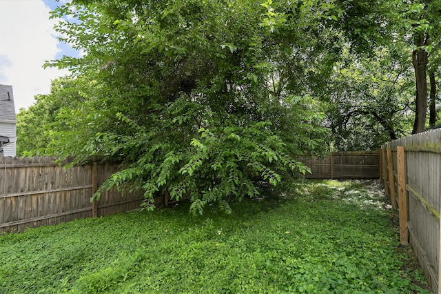 169 Main St, Newport, KY 41071 - photo 30