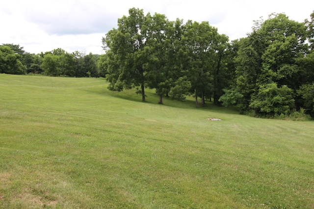 112 Bridle Ct, Dry Ridge, KY 41035 - photo 8