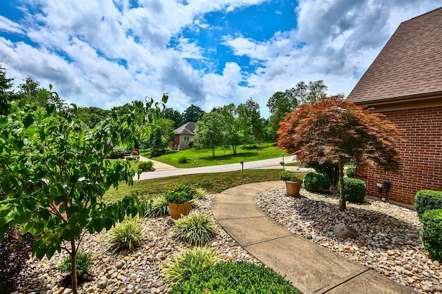 10019 Timbercreek Ct, California, KY 41007 - photo 37