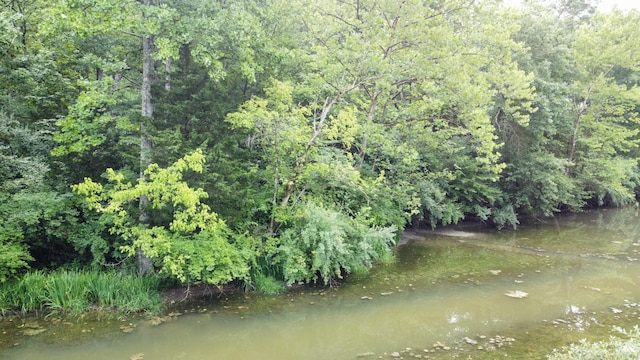 445 Elk Lake Resort Rd Unit 396-397, Owenton, KY 40359 - photo 3